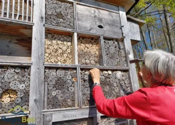 Workshop «Unterhalt Insektenhotel» in Oey-Diemtigen