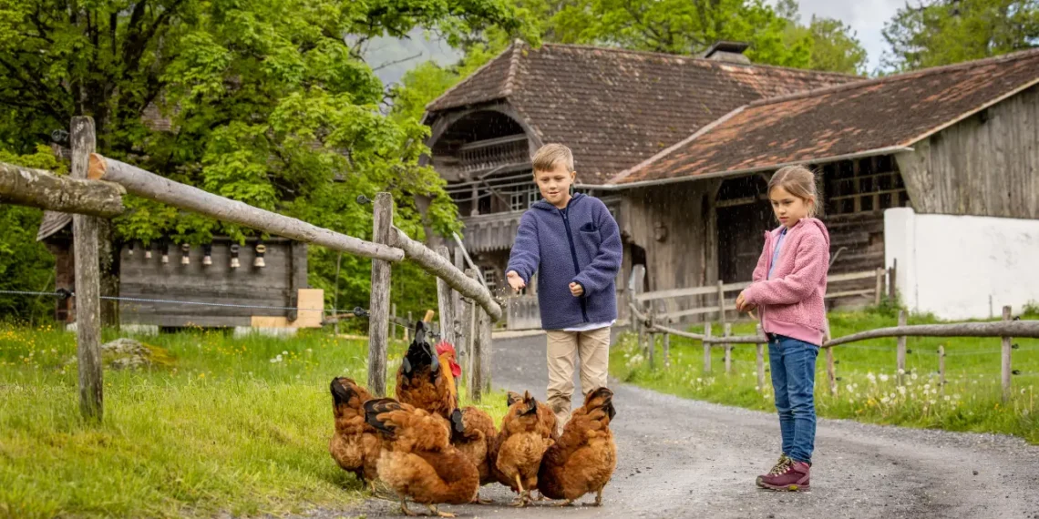 Bauernhoftier-Tage auf dem Ballenberg  Am Wochenende vom 30. und 31. Mai 2026