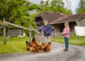 Bauernhoftier-Tage auf dem Ballenberg  Am Wochenende vom 30. und 31. Mai 2026