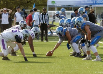Tigers unterliegen den Seahawks