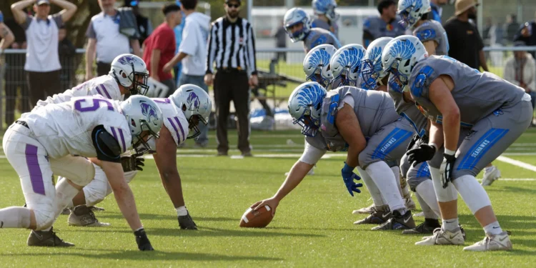 Tigers unterliegen den Seahawks