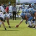 Tigers unterliegen den Seahawks