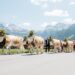 Alpkultur-Sommer an der Lenk: Traditionen, Brauchtum und Naturerlebnisse im Simmental