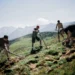 Work & Bike’n’Hike Week 2026: Mithelfen und die Ferienregion Adelboden-Lenk entdecken