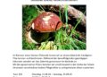 Pilze entdecken, bestimmen und geniessen