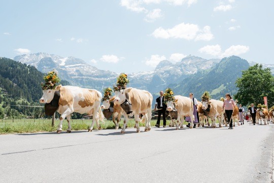 Alpkultur-Sommer an der Lenk: Traditionen, Brauchtum und Naturerlebnisse im Simmental