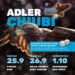 Der Schwarzenegg-Märit und die dazugehörige Adler-Chiubi 2026