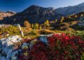Wild, herbstlich und regional – Die «Wilden Wochen» im Simmental